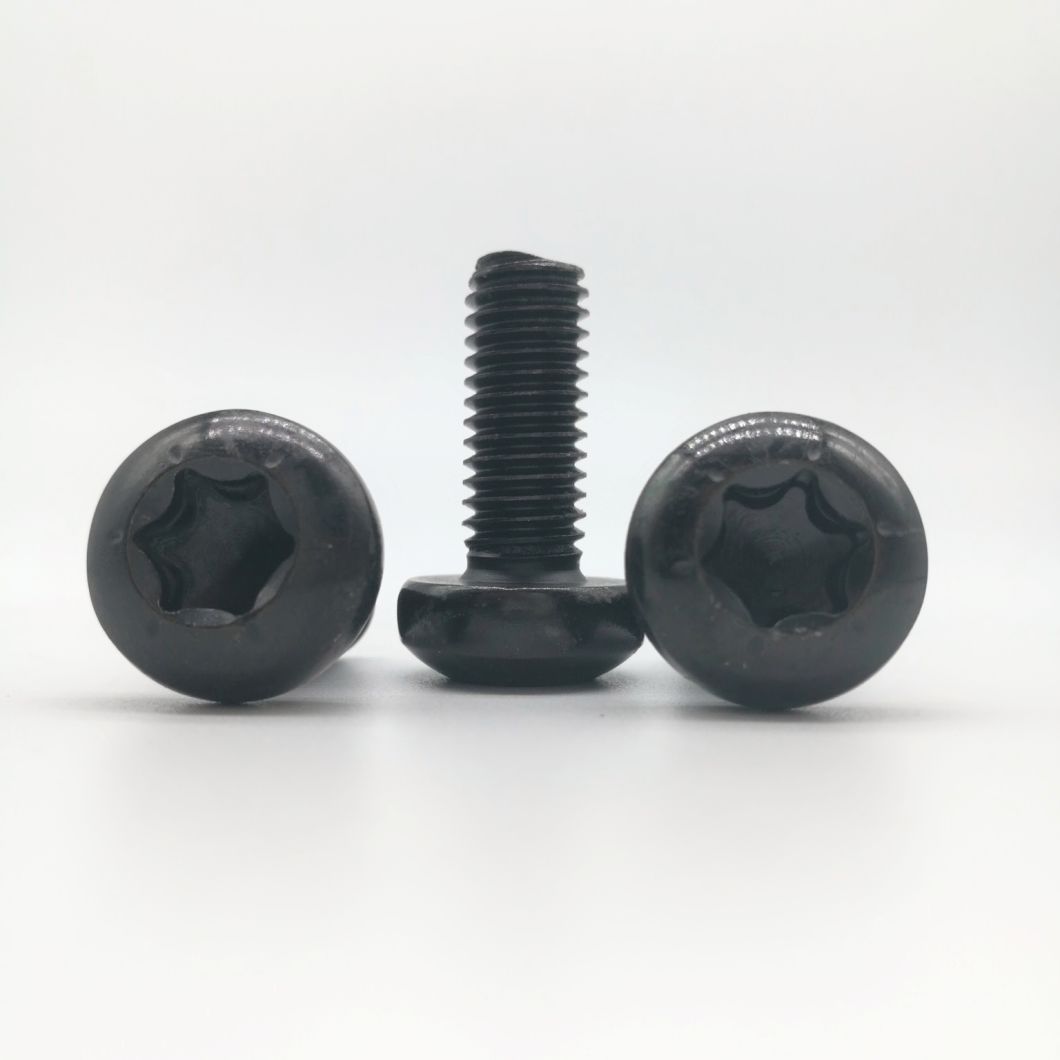 Tornillo Torx Tornillos de cabeza alomada T30